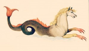 Fantasy Horse
